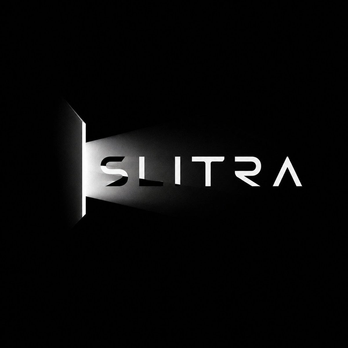 Create a premium black-and-white optical logo for a ficti...